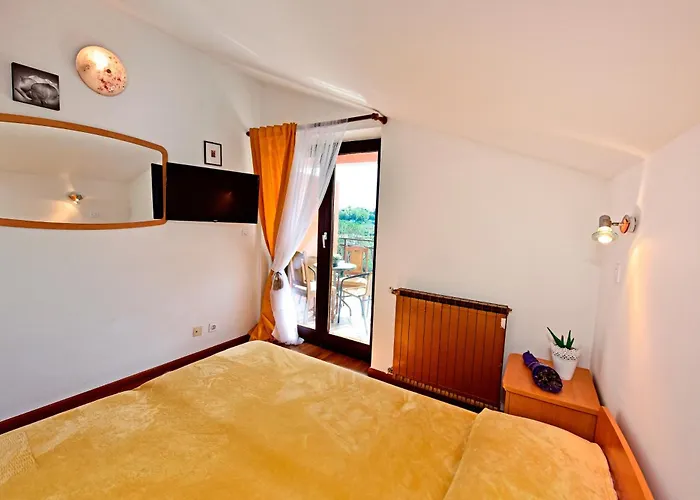 Guest house Double Novigrad 6951a 3*
